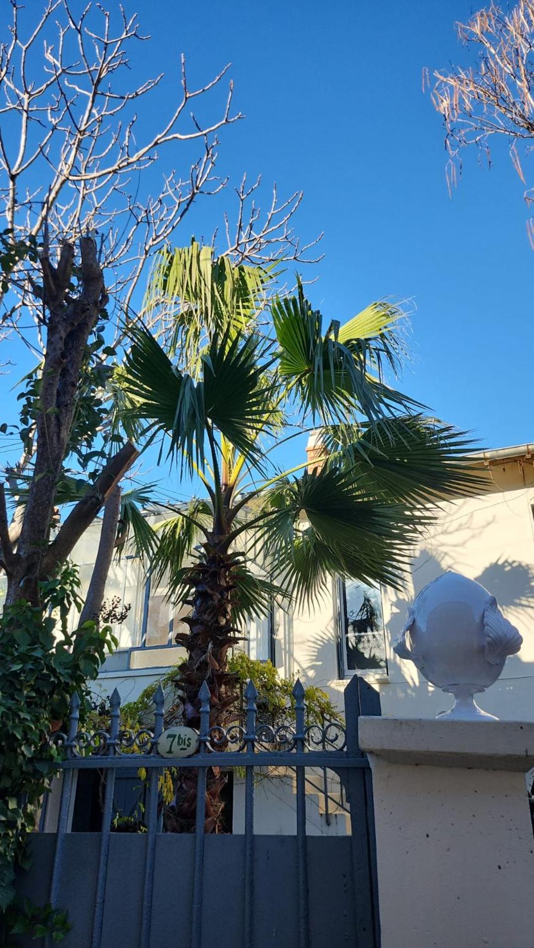 Le Nid Villa Авиньон Екстериор снимка